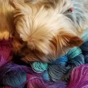 Meet your Posher, Billie